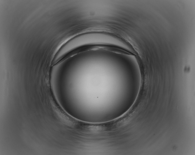 X0000090721465200708031450