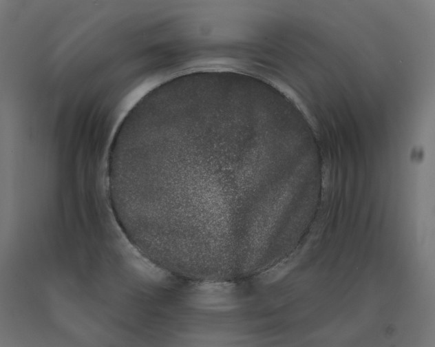 X0000090721466200708031450