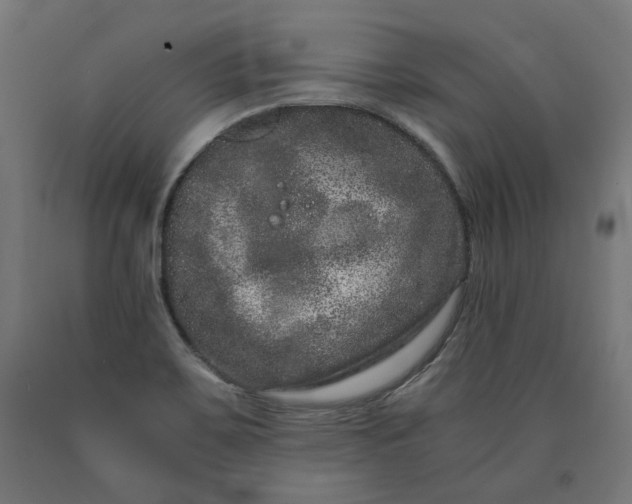 X0000090721467200708031450