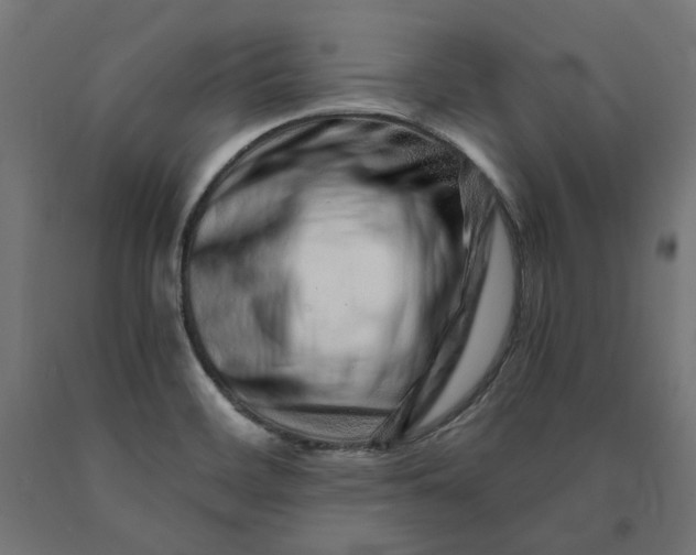 X0000090721468200708031450