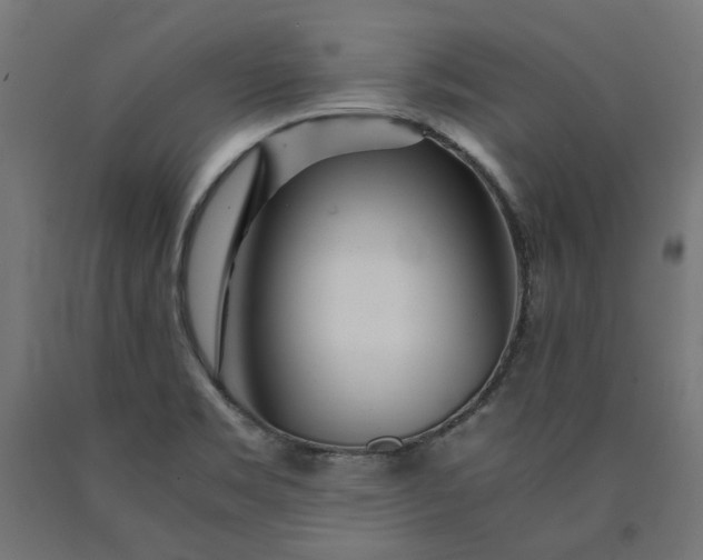 X0000090721469200708031450