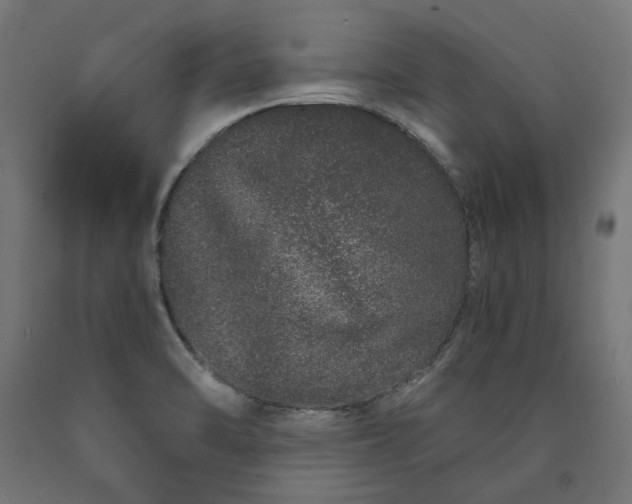 X0000090721470200708031450