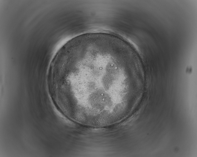 X0000090721471200708031450