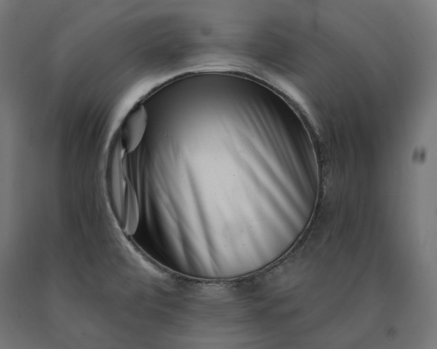 X0000090721472200708031450
