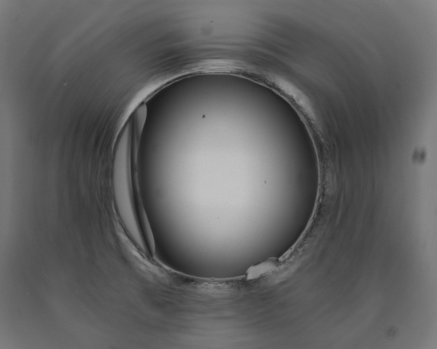 X0000090721473200708031450