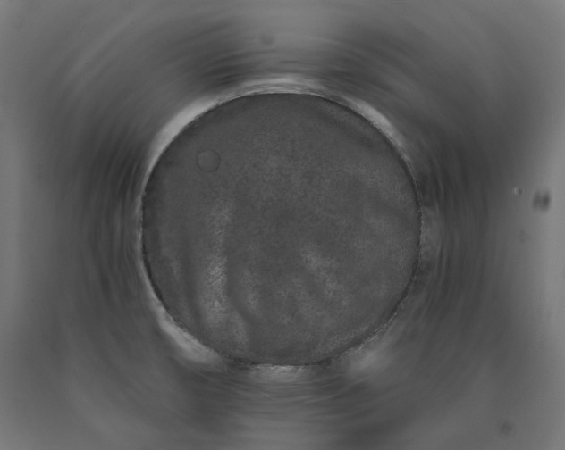 X0000090721474200708031450