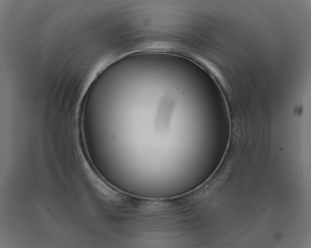 X0000090721475200708031450