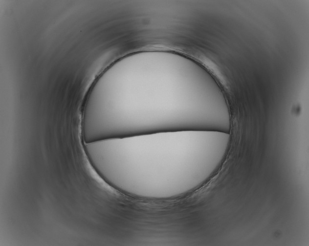 X0000090721476200708031450