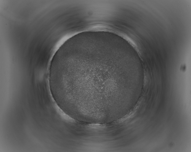 X0000090721478200708031450