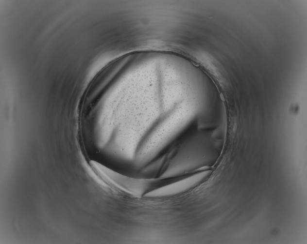 X0000090721479200708031450