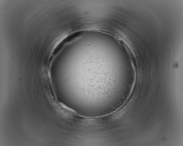 X0000090721481200708031450