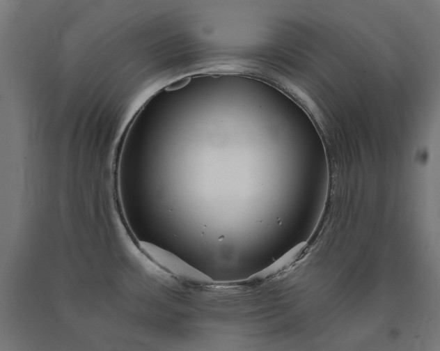 X0000090721483200708031450