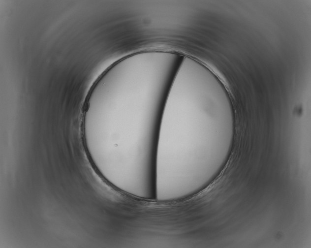 X0000090721484200708031450
