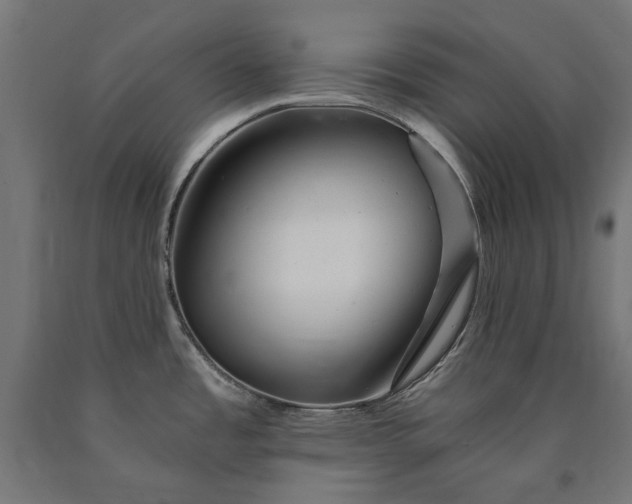 X0000090721485200708031450
