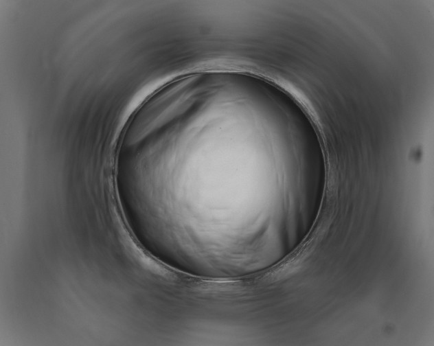 X0000090721486200708031450