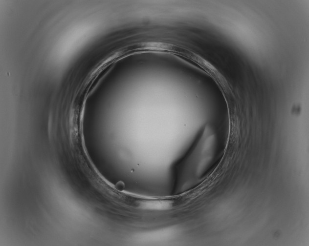 X0000090721487200708031450
