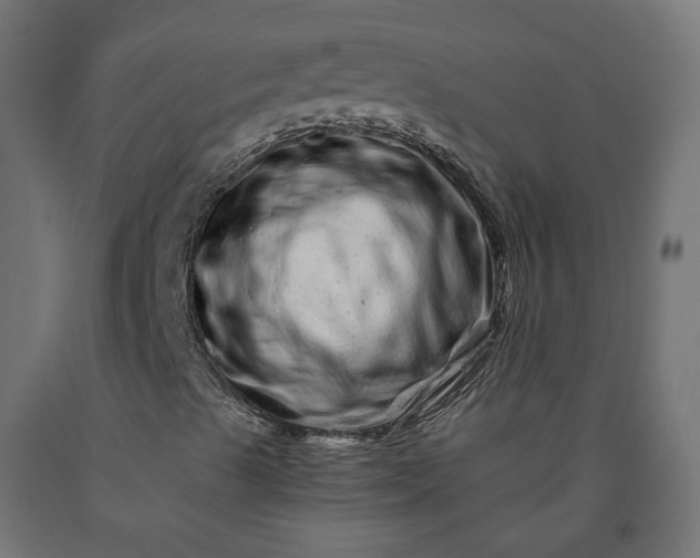 X0000090721489200708031449