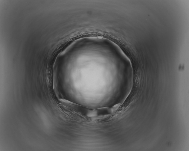 X0000090721490200708031449