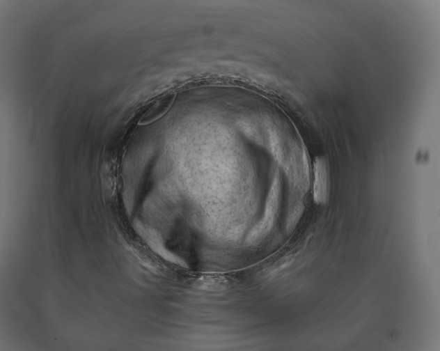 X0000090721491200708031449