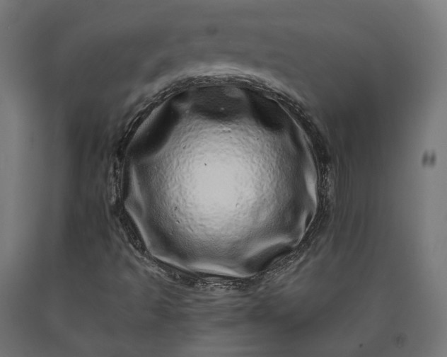 X0000090721493200708031449
