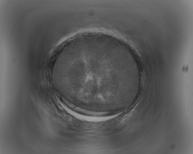 X0000090721494200708031449
