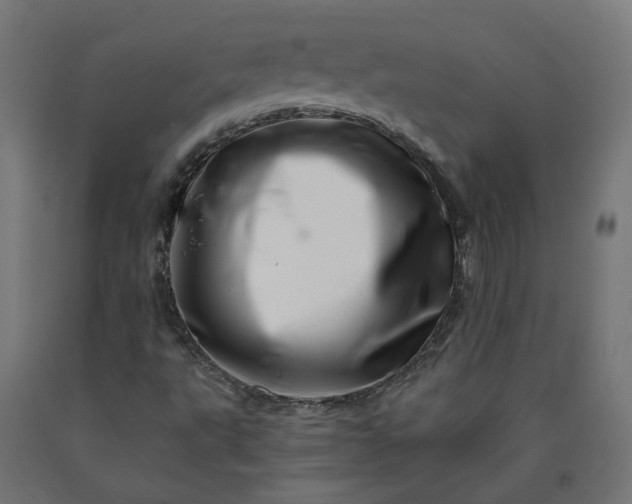 X0000090721495200708031449