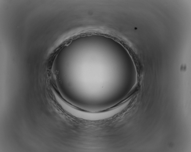 X0000090721496200708031449