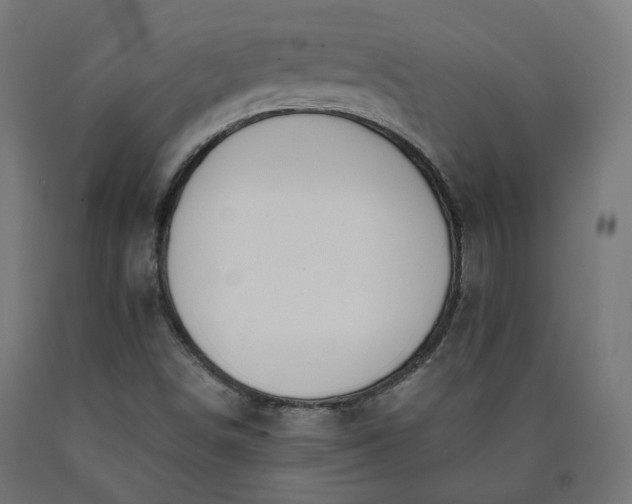 X0000090721498200708031449