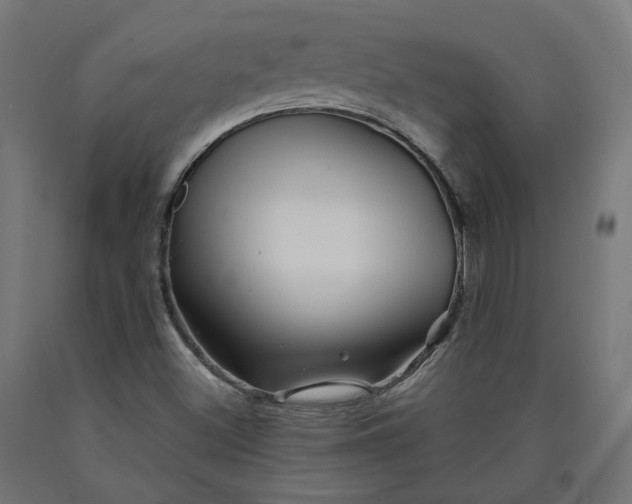 X0000090721500200708031449