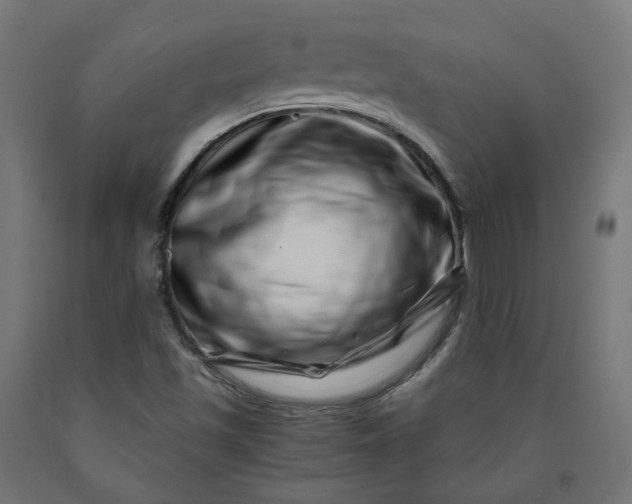 X0000090721501200708031449
