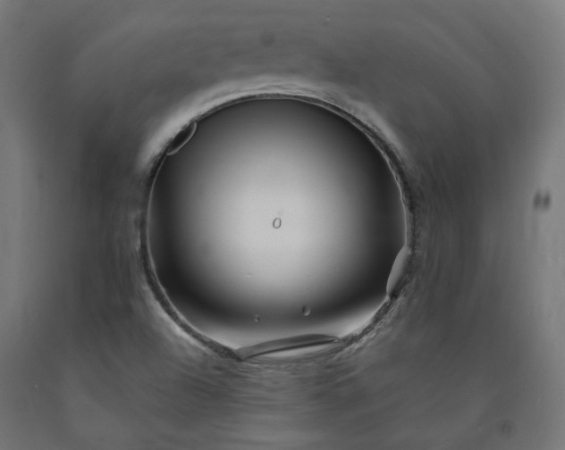 X0000090721504200708031449