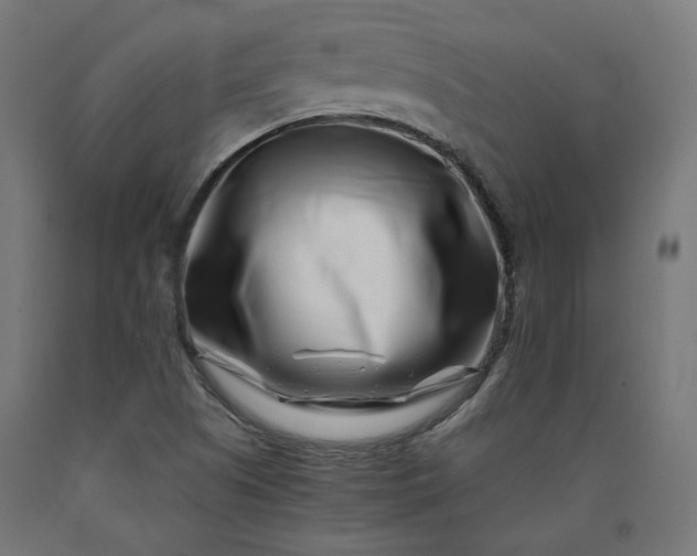X0000090721505200708031449