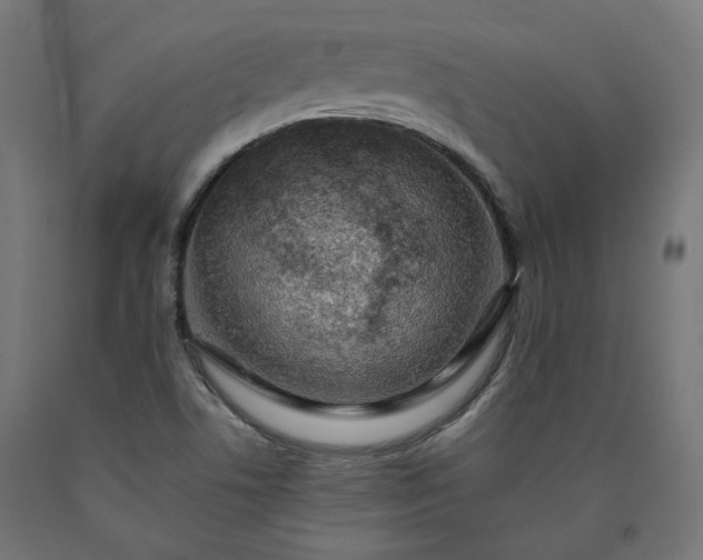 X0000090721506200708031449