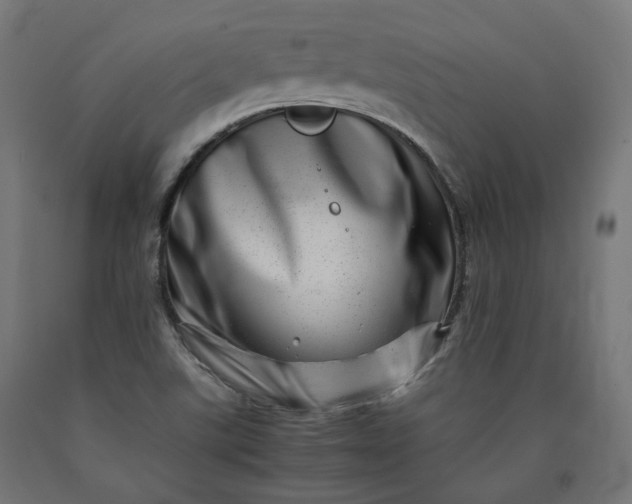 X0000090721507200708031449