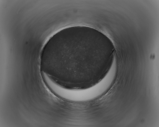 X0000090721508200708031449