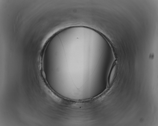 X0000090721510200708031449