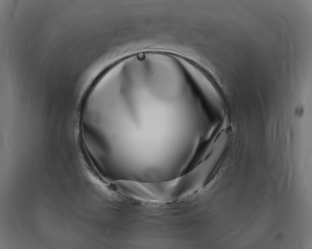 X0000090721511200708031449