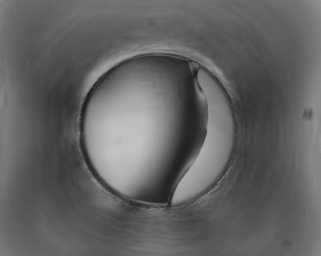 X0000090721512200708031449