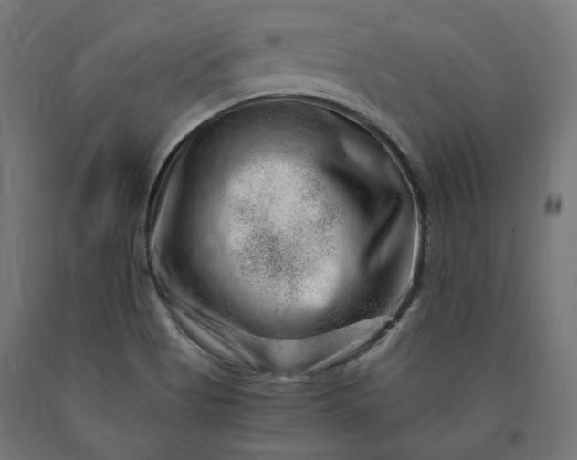 X0000090721513200708031449