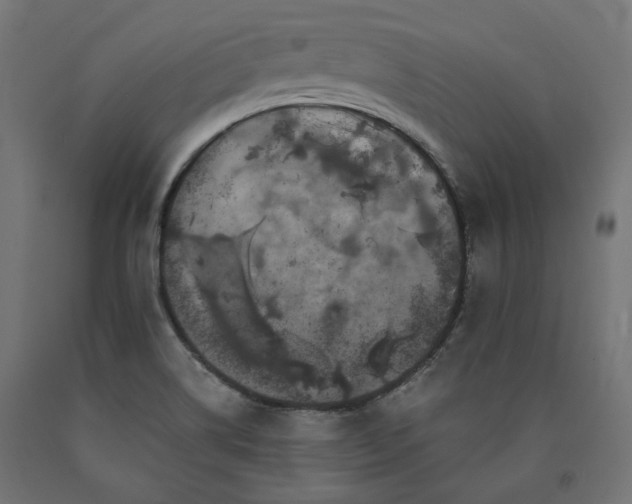X0000090721514200708031449