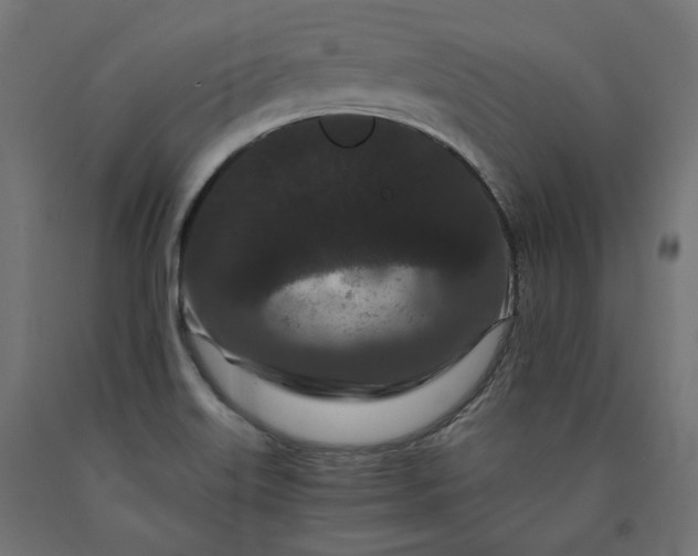 X0000090721515200708031449