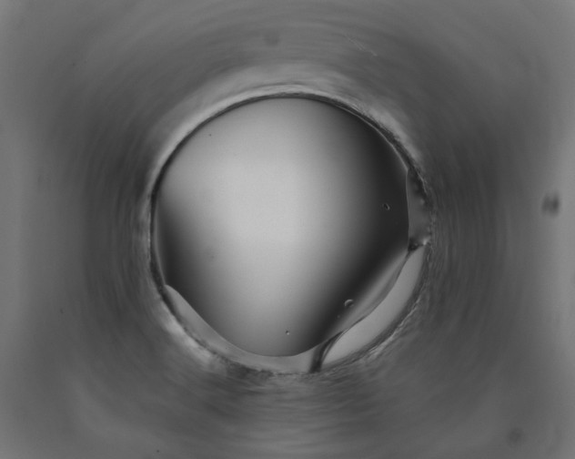 X0000090721516200708031449