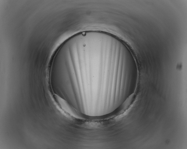 X0000090721517200708031449