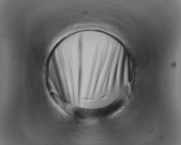 X0000090721518200708031449