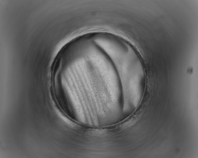 X0000090721519200708031449