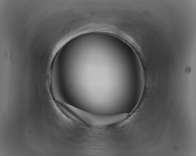 X0000090721520200708031449