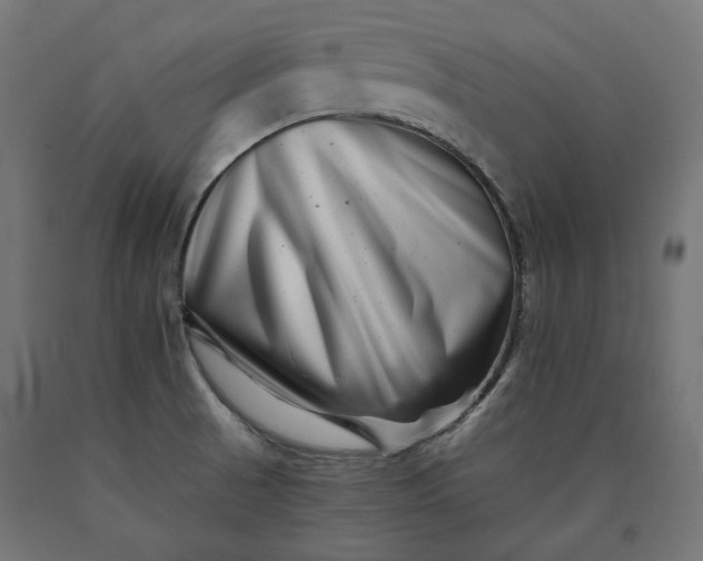 X0000090721521200708031449