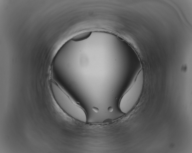 X0000090721524200708031449