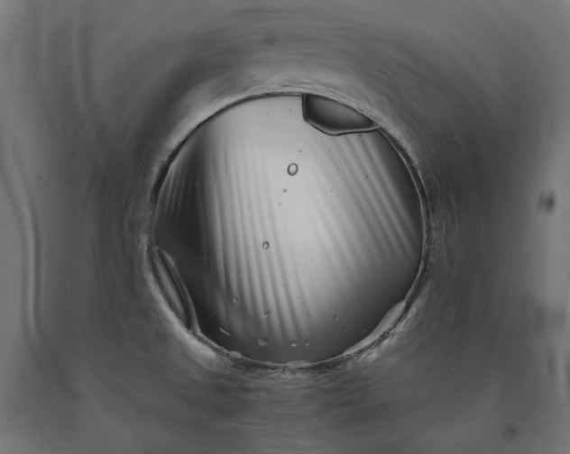 X0000090721525200708031449