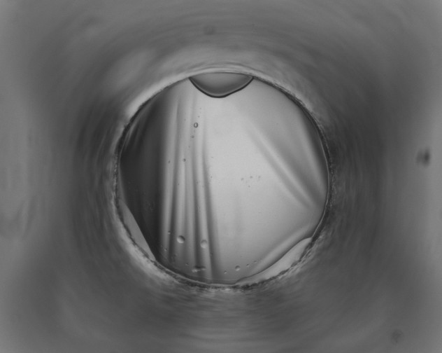 X0000090721526200708031449